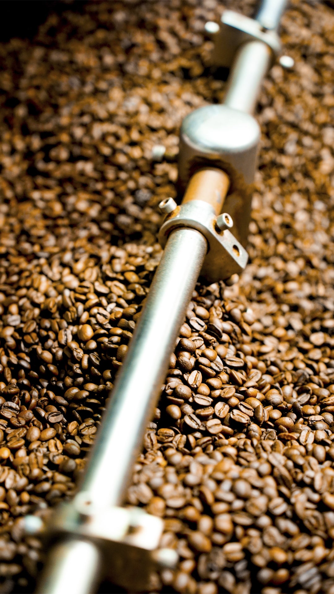 Roasted locally in Brisbane warehouse 