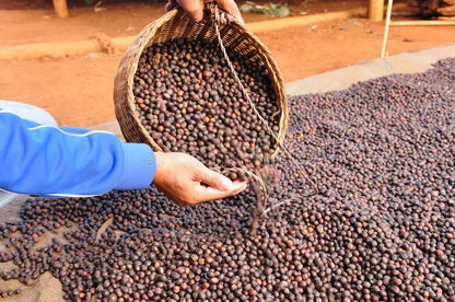 Kasa Coffee Collective